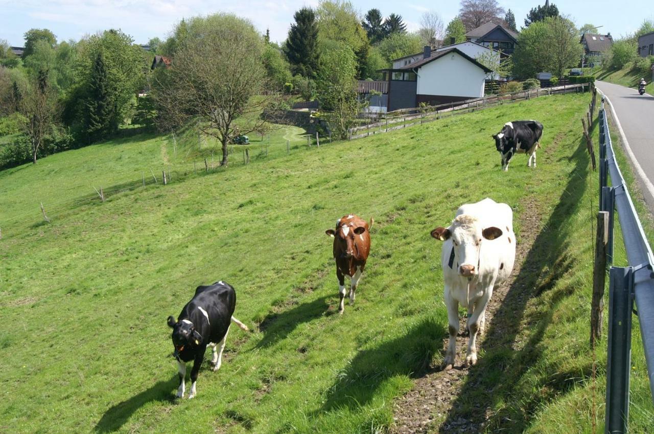 Pension Oberberg Lindlar Luaran gambar